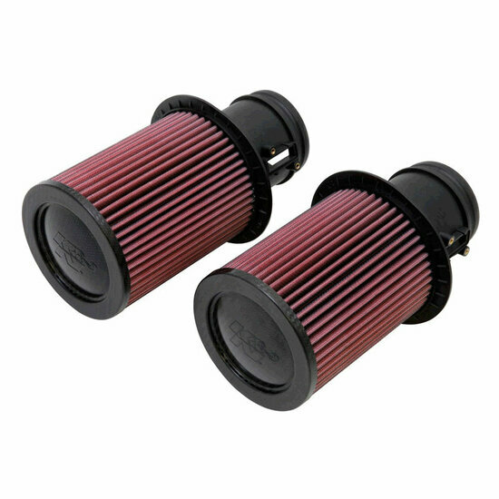 K&amp;N vervangingsfilter passend voor Audi R8 5.2L V10 2009-2012 (2 per box) (E-0669)